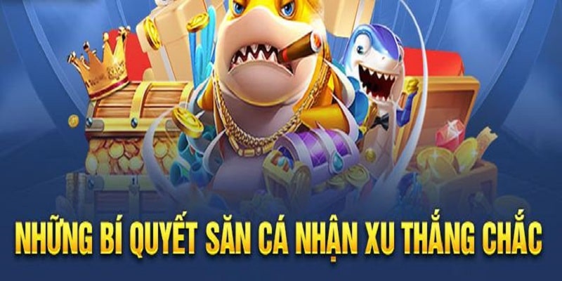 Kinh nghiệm bet thủ nên áp dụng khi chơi